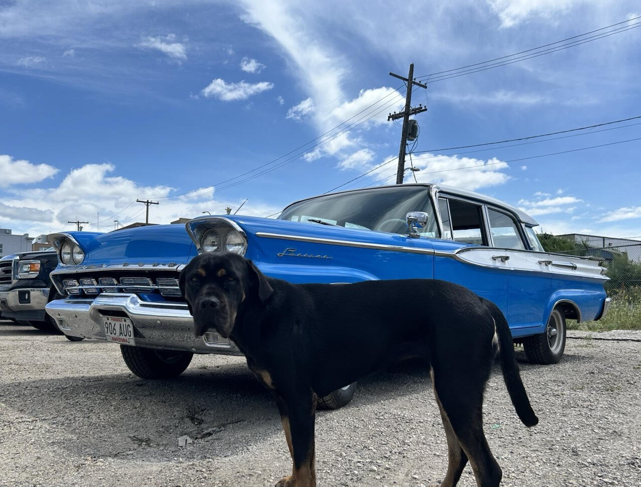 Custom Classic Springs by Standard Auto Spring Works specializes in leaf spring repair, restoration, re-arching, custom leaf springs, and suspension services for classic, antique, and collectible vehicles throughout Manitoba. Visit us at 313 Princess Stree
